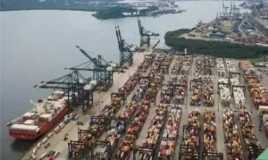 Tarifas dos EUA ainda não impactam exportações brasileiras