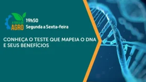 Como a nutrigenética personaliza sua dieta para saúde ideal