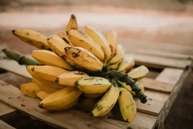 Mudanças climáticas ameaçam futuro da banana globalmente
