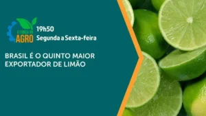 Brasil é o 5º maior exportador global de limão em 2025
