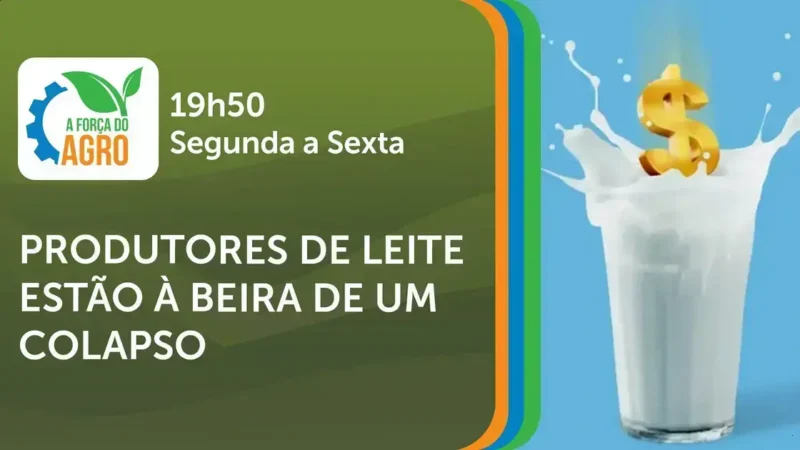 Como a crise do leite impacta o produtor rural brasileiro