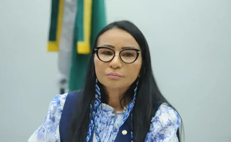 Deputada critica uso político de indígenas na COP30 e governo Lula Deputada critica uso político de indígenas na COP30 e governo Lula