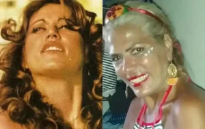 Morte de Lia Hollywood após ataque de pitbull: o alerta à segurança