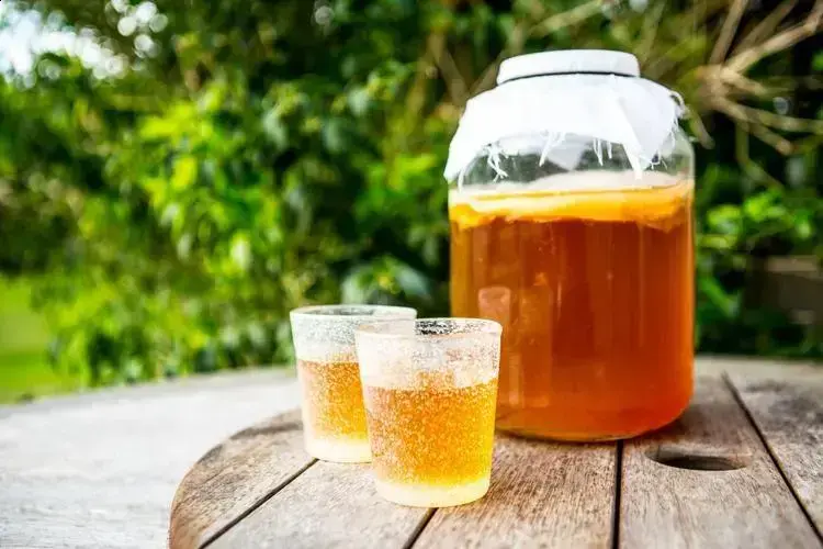 Produção de kombucha cresce quase mil por cento no Brasil