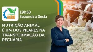 Como a nutrição animal sustentável impulsiona a pecuária no Brasil