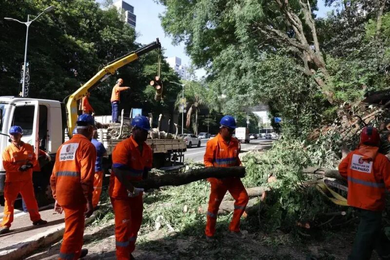 Investigação federal determina ações em relação a falhas da Enel em SP