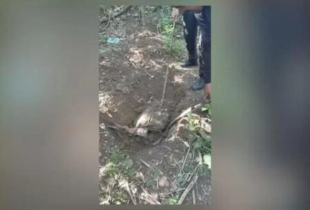 Polícia Civil encontra cemitério clandestino em Rio das Pedras com corpos de desaparecidos