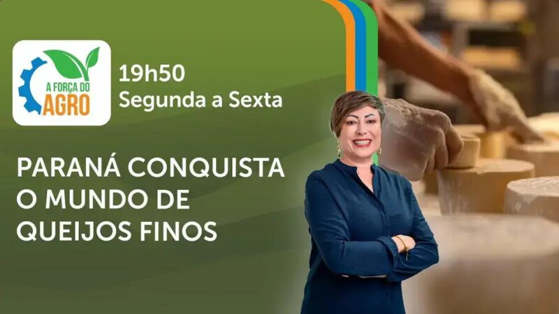 Queijo de Paraná brilha em concurso internacional com medalhas de prata