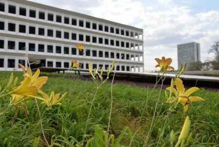 TCU: maioria dos servidores recebe acima do teto com diárias e auxílios