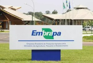 Embrapa retorna à África com novo escritório na Etiópia