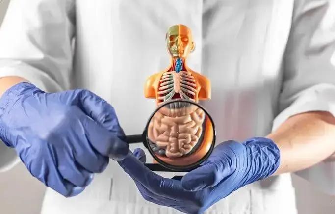 Câncer de intestino: prevenção, diagnóstico precoce e chances de cura Câncer de intestino: prevenção, diagnóstico precoce e chances de cura