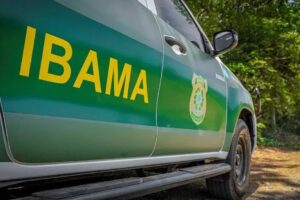 Emboscada a fiscais do Ibama em Manicoré expõe mercado de madeira ilegal