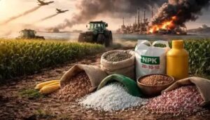 Guerra do Irã pressiona fertilizantes e eleva custo dos alimentos