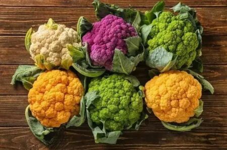 Sementes adaptadas ao clima: Nevasca F1 protege a produção de couve‑flor