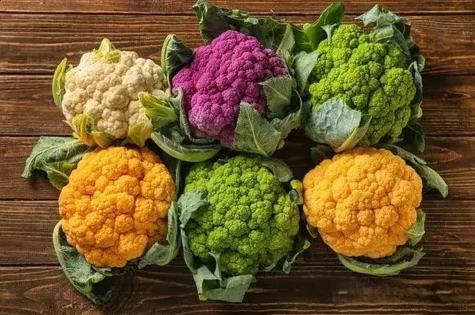 Sementes adaptadas ao clima: Nevasca F1 protege a produção de couve‑flor