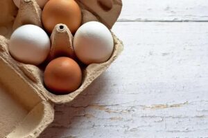 Warburg Pincus investe até US$1 bilhão na Global Eggs avaliada em US$8 bi