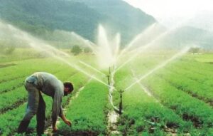 Avaré receberá Centros de Excelência em irrigação para produtores rurais