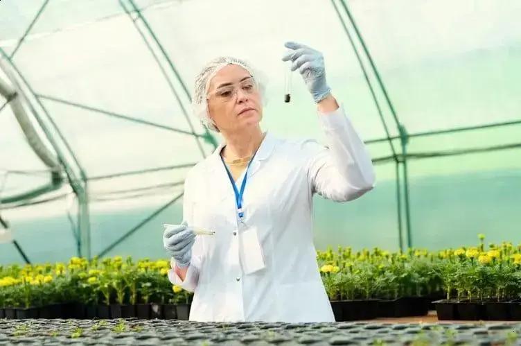 Como a agricultura nasceu nas mãos das mulheres e pede mais reconhecimento Como a agricultura nasceu nas mãos das mulheres e pede mais reconhecimento